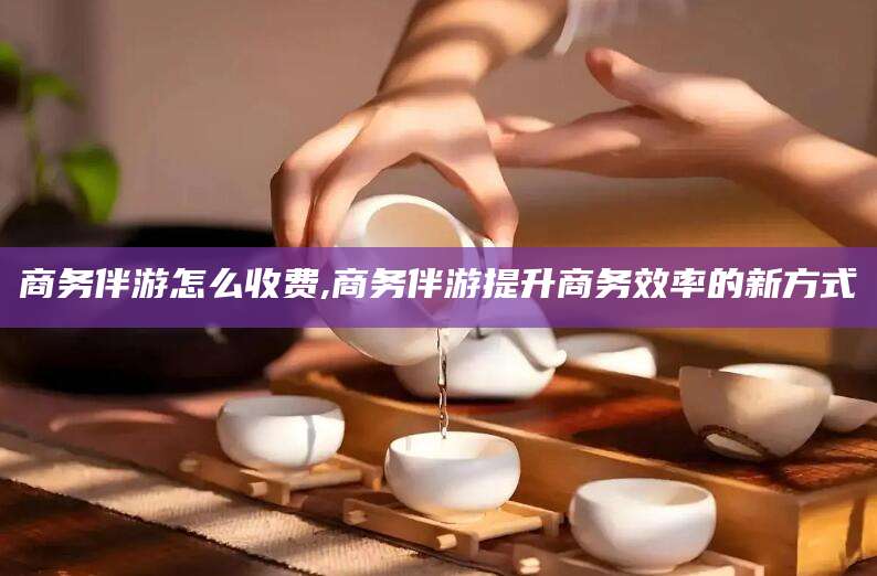 云南商务伴游怎么收费,商务伴游提升商务效率的新方式