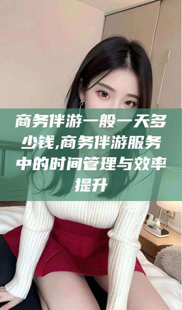 云南商务伴游一般一天多少钱,商务伴游服务中的时间管理与效率提升