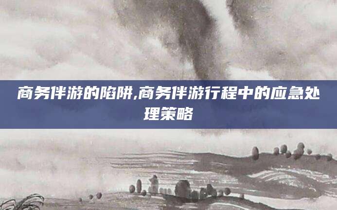 云南商务伴游的陷阱,商务伴游行程中的应急处理策略